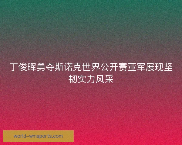 丁俊晖勇夺斯诺克世界公开赛亚军展现坚韧实力风采